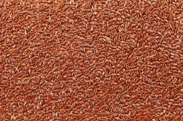 Similar image 2564635