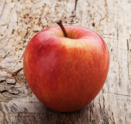 Similar image 2564641