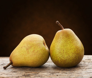 Similar image 2564728