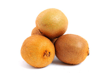 Similar image 2564730