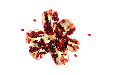 Similar image 2564739