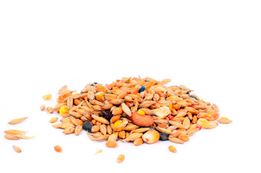 Similar image 2564777