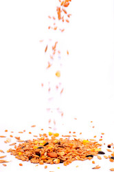 Similar image 2564779