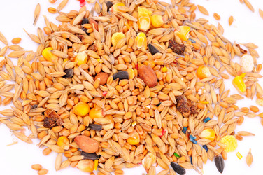 Similar image 2564780