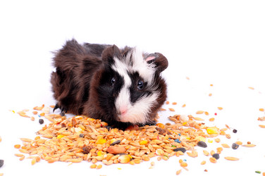 Similar image 2564781