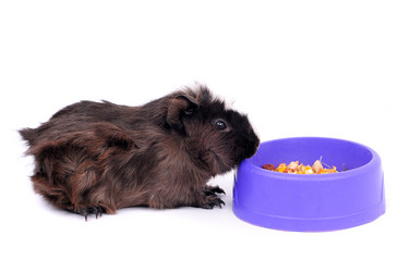 Similar image 2564784