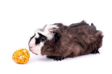 Similar image 2564787