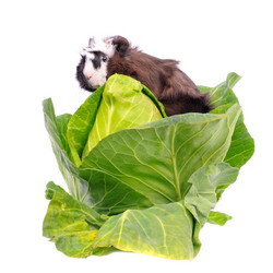 Similar image 2564791