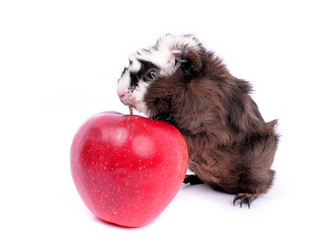 Similar image 2564794