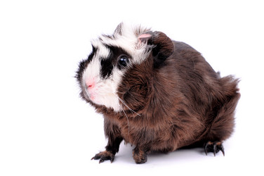 Similar image 2564795