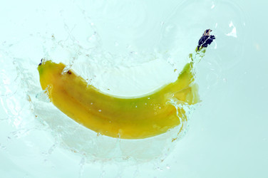 Similar image 2564823