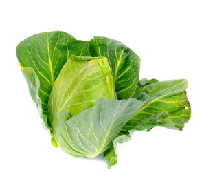 Similar image 2564826