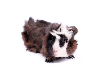 Similar image 2564827