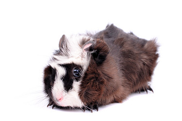 Similar image 2564828