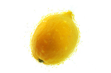 Similar image 2564829