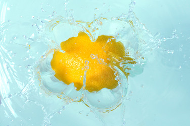 Similar image 2564831