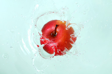 Similar image 2564841