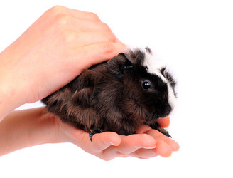 Similar image 2564849