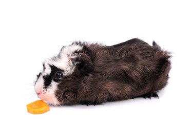 Similar image 2564851