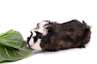 Similar image 2564852