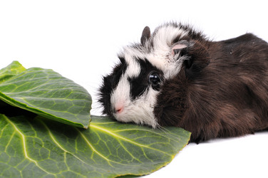 Similar image 2564853