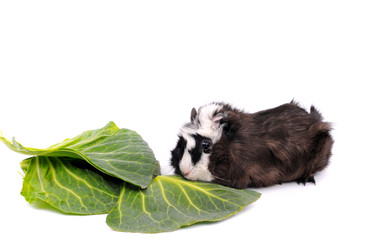 Similar image 2564855