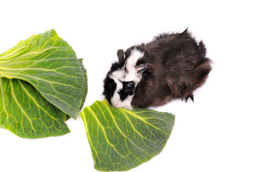 Similar image 2564856