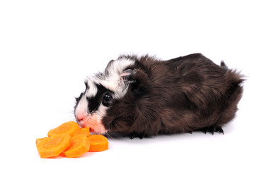 Similar image 2564861