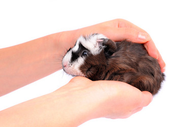 Similar image 2564864