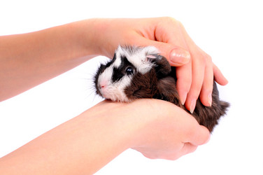 Similar image 2564865