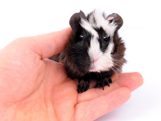 Similar image 2564866