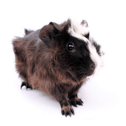 Similar image 2564867