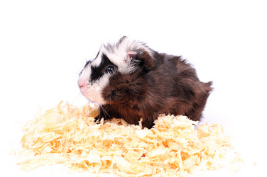 Similar image 2564872