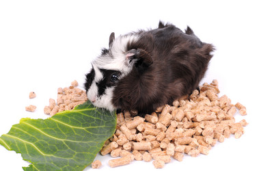 Similar image 2564912