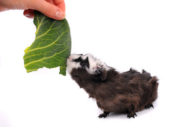 Similar image 2564916