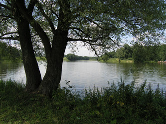 Similar image 2565594