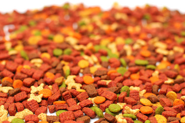 Similar image 2565700