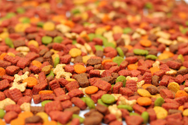 Similar image 2565703