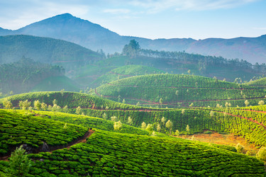 Similar image 2566805