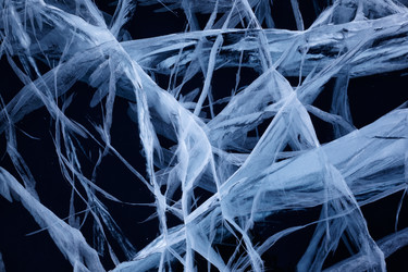 Similar image 2567094