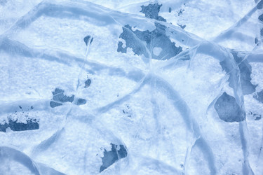 Similar image 2567178