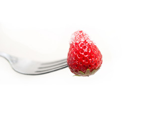 Similar image 2567354