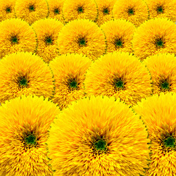 Similar image 2576840