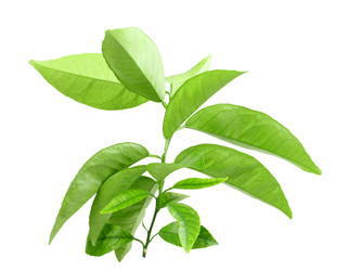 Similar image 2576886