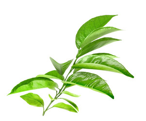 Similar image 2576887