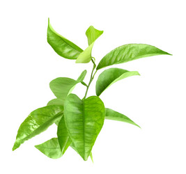 Similar image 2576889