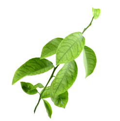 Similar image 2576890