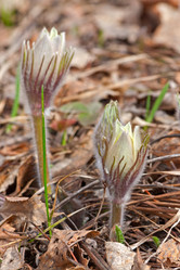 Similar image 2576919