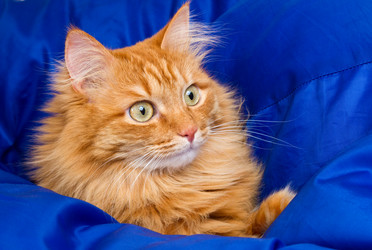 Similar image 2576938