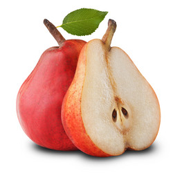 Similar image 2576996